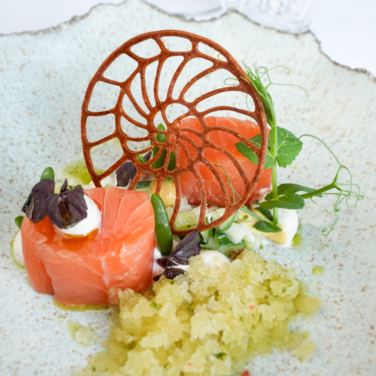 Photo of a salmon dish at Restaurant Bakkershuys featuring tzatziki cucumber granite and a star anise tuile made using the Ammonite silicone mold, showcasing an elegant and creative fine dining presentation.