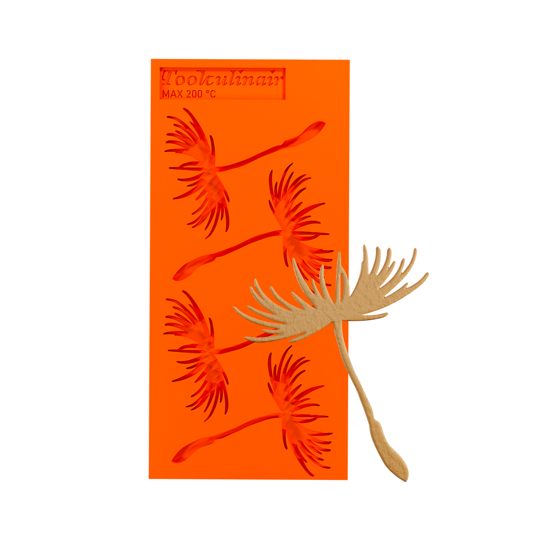 Fairy seed