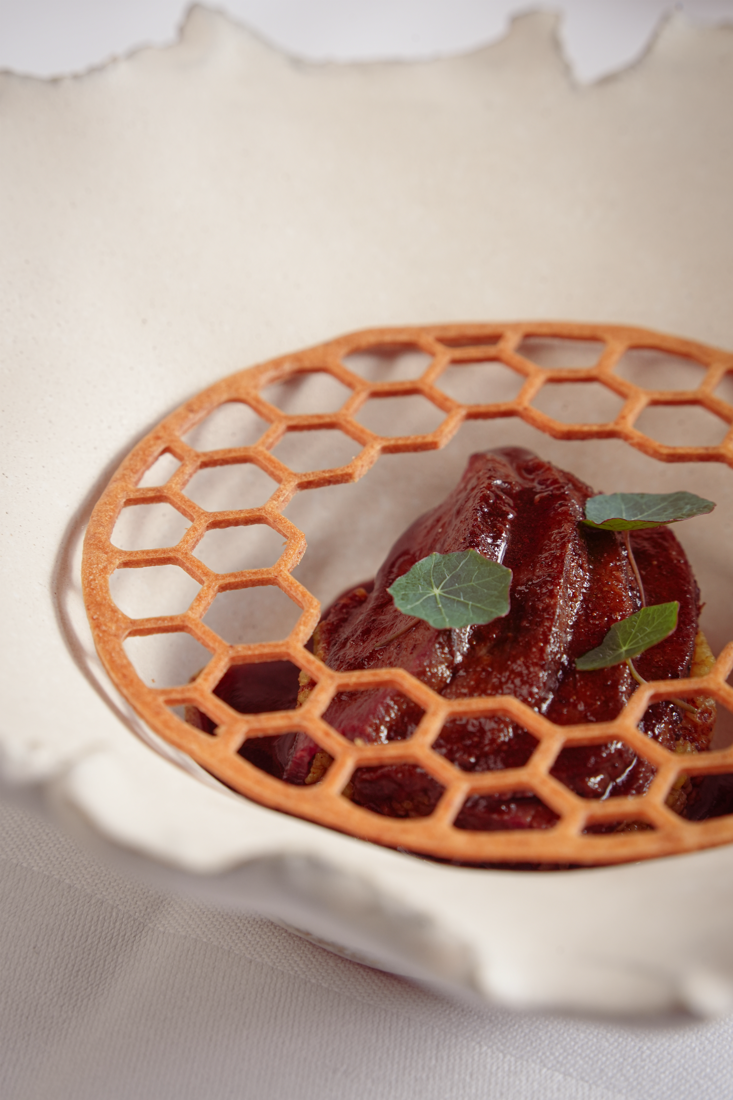 Elegant dish featuring fennel couscous and hummus, topped with a crispy tuile made using the Hiveorb silicone tuile mold by Toolculinair – a refined combination of texture and presentation.