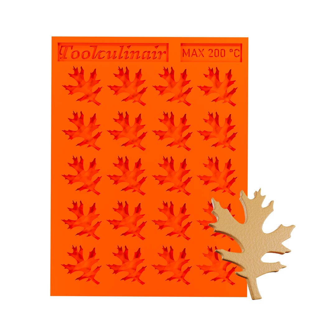 Pine oak leaf