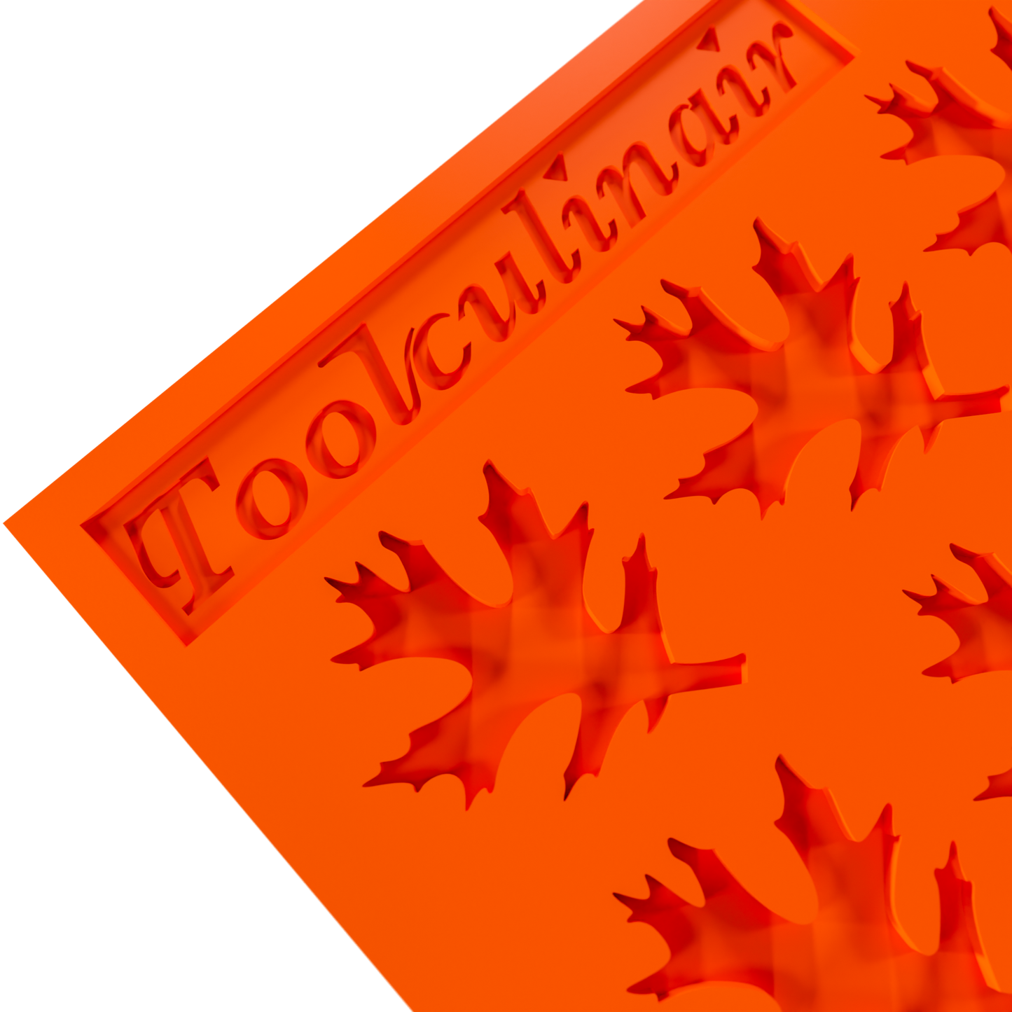 Pine oak leaf