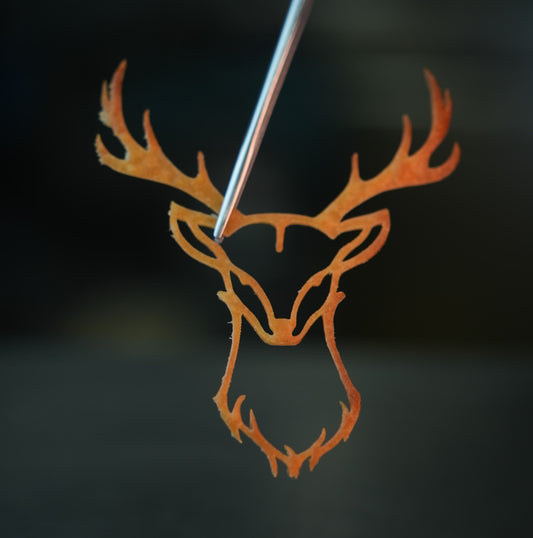 Close-up of a crispy Parmesan tuile, perfectly baked to a golden hue. Ideal for garnishing appetizers, salads, and soups. This delicate cheese tuile adds both a crunchy texture and an elegant touch to any dish.