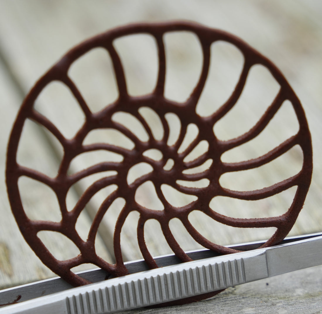 Chocolate tuile shaped like an ammonite shell, created with the Ammonite silicone tuile mold by Toolculinair, featured in a recipe showcasing elegant and detailed dessert decorations.