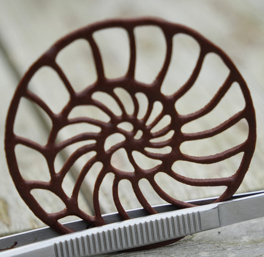 Chocolate tuile shaped like an ammonite shell, created with the Ammonite silicone tuile mold by Toolculinair, featured in a recipe showcasing elegant and detailed dessert decorations.