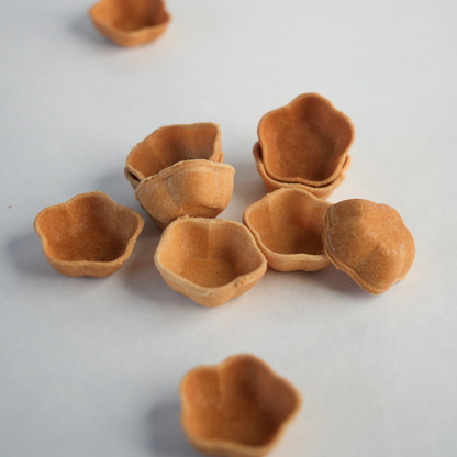 Cinquefoil Tartelette