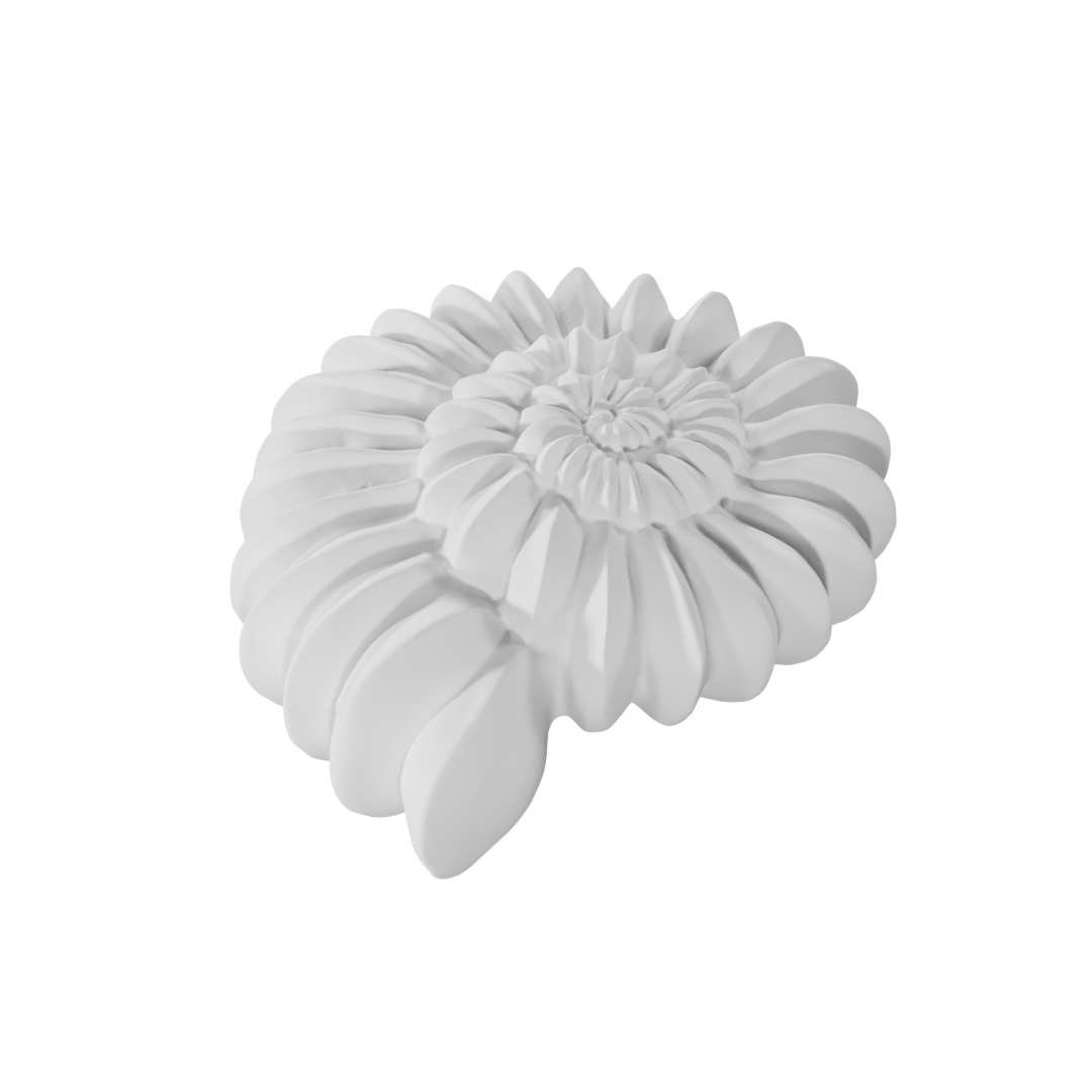 Front view of Ammonite 3D shape – elegant spiral dessert design made with professional food-grade silicone mold, ideal for mousse, pastry, and chocolate creations by ToolCulinair.
