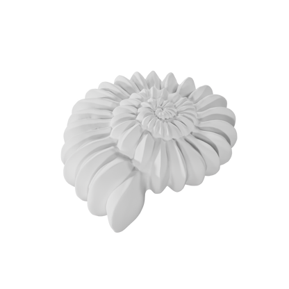 Front view of Ammonite 3D shape – elegant spiral dessert design made with professional food-grade silicone mold, ideal for mousse, pastry, and chocolate creations by ToolCulinair.
