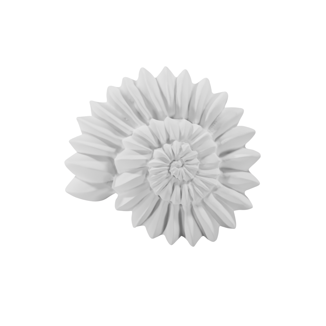 op view of Ammonite 3D shape – detailed spiral dessert design created with a professional silicone mold, perfect for high-end pastry, mousse, and chocolate creations by ToolCulinair.