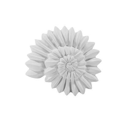 op view of Ammonite 3D shape – detailed spiral dessert design created with a professional silicone mold, perfect for high-end pastry, mousse, and chocolate creations by ToolCulinair.