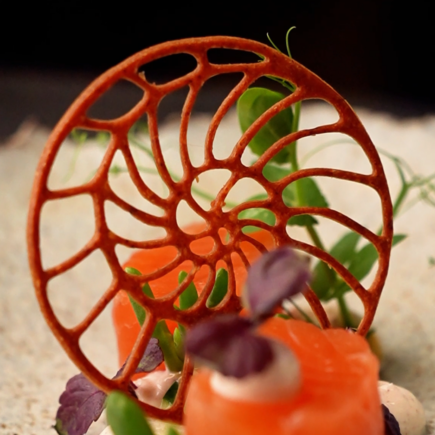 Ammonite-shaped tuile served on an elegant salmon dish, crispy and decorative, perfect for fine dining presentation.