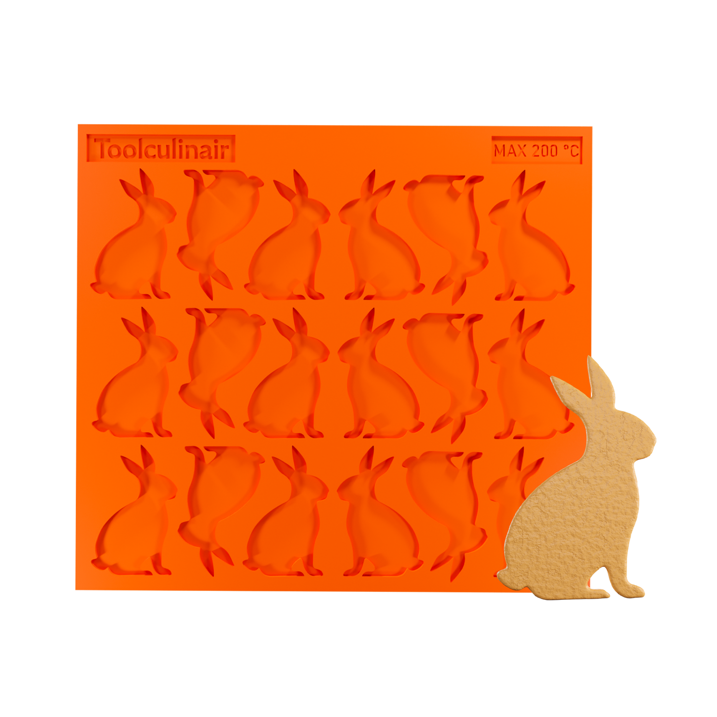 Bunny