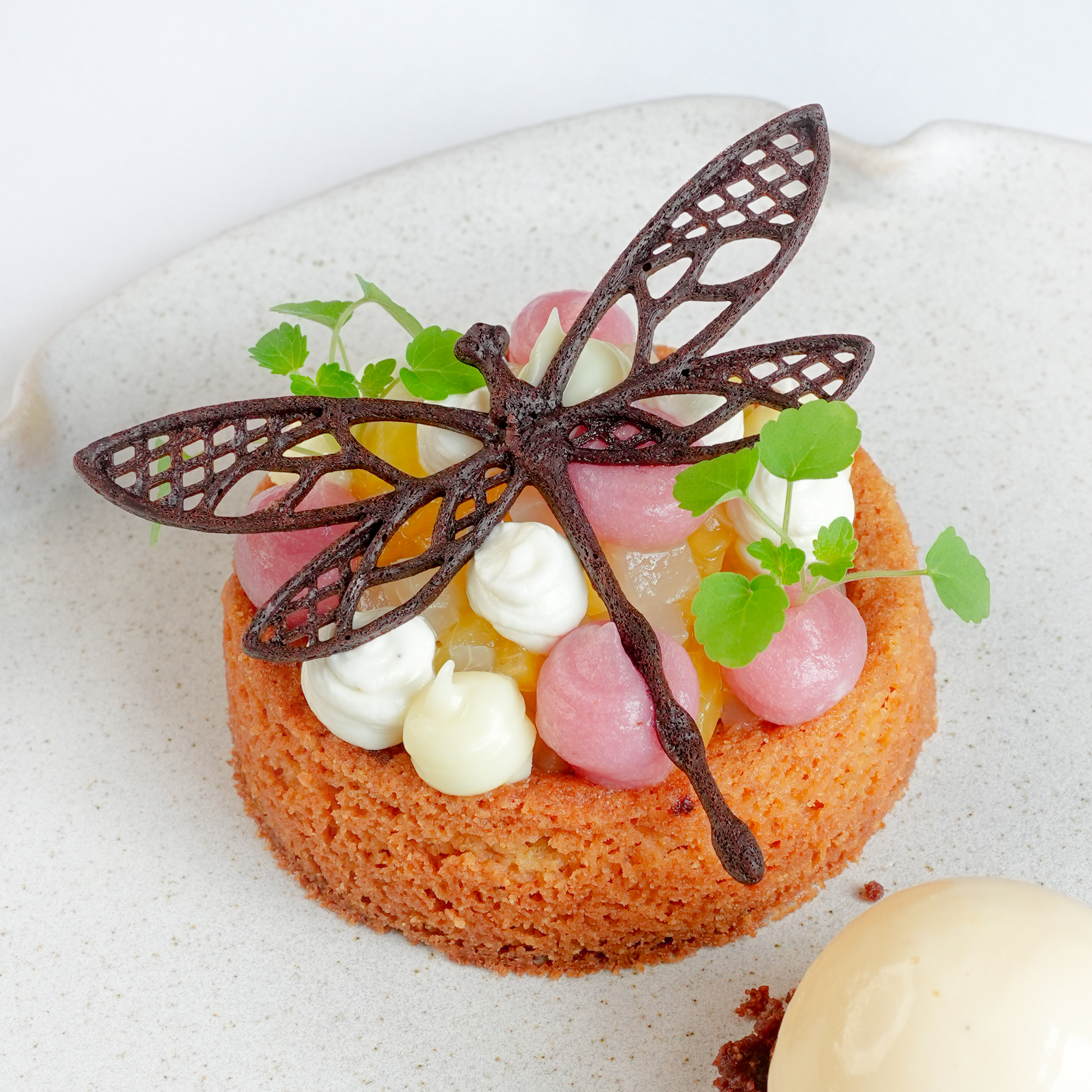 Photo of the Flydraze silicone tuile mold dish featuring chocolate dragonfly tuiles elegantly placed on a peach frangipane tart, created at Bakkershuys, showcasing artistic and gourmet pastry design.