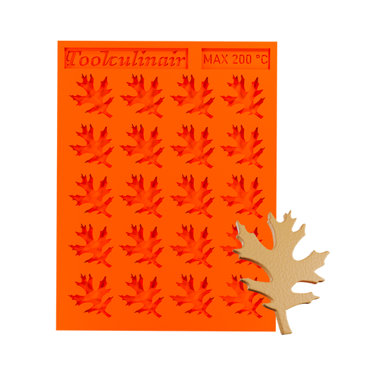 Pine oak leaf