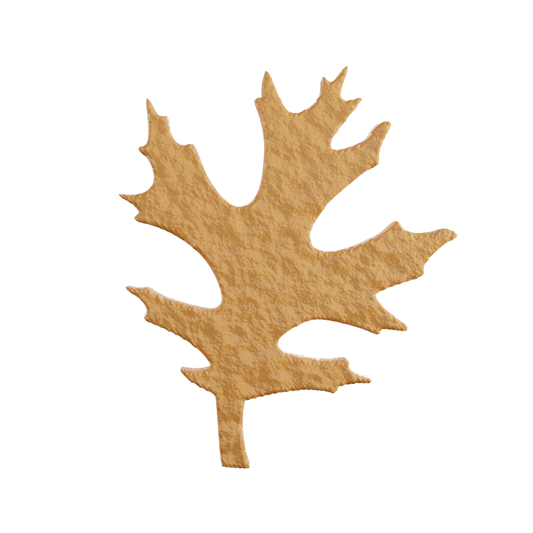 Pine oak leaf