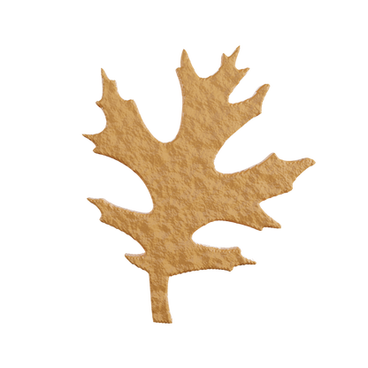 Pine oak leaf