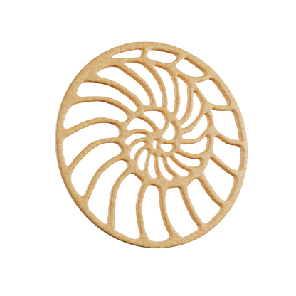 Digital image of an ammonite tuile cookie, showing intricate details and unique design.